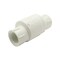 Thrifco Plumbing 2 Inch Threaded Spring Check Valve 6415185 - alternate 1